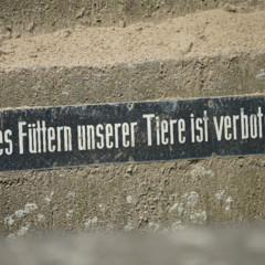 Sony FE 70-200mm F2.8 GM OSS: toma de contacto image01