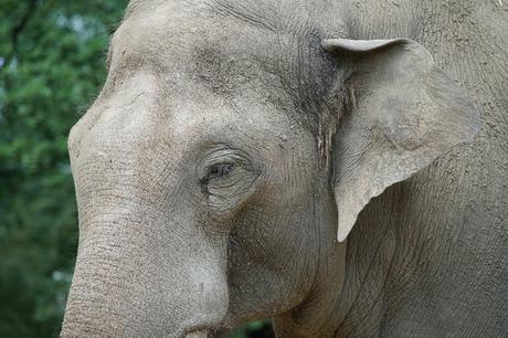 Sony FE 70-200mm F2.8 GM OSS: toma de contacto DSC00319