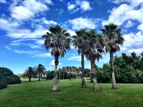 Parque del Rinconín