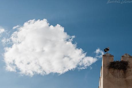 a bulto, deja que te vuele la imaginación a bulto