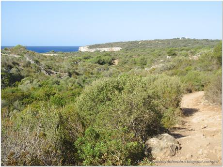 Menorca running (I): Camí de Cavalls – de Cala Galdana a Son Saura y vuelta