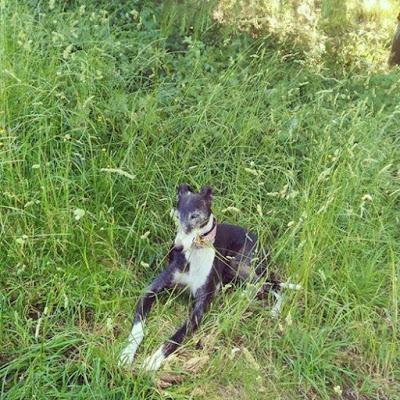 Hombres desnudos + Vilma de cumple + Left With Pictures Hombres desnudos + Vilma de cumple + Left With Pictures