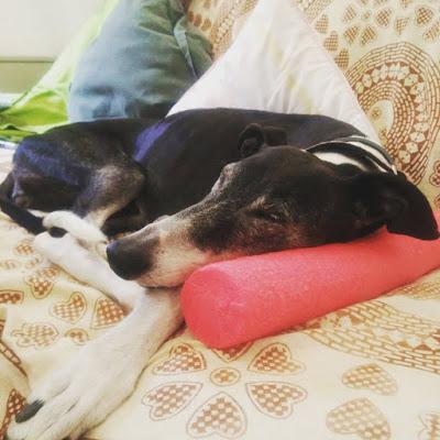 Hombres desnudos + Vilma de cumple + Left With Pictures Hombres desnudos + Vilma de cumple + Left With Pictures