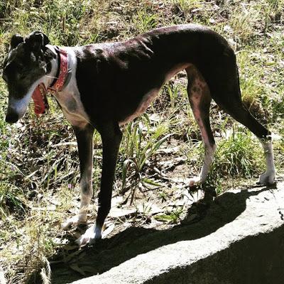 Hombres desnudos + Vilma de cumple + Left With Pictures Hombres desnudos + Vilma de cumple + Left With Pictures