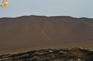 Qué ver en la Reserva Nacional de Paracas?