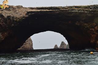 Qué ver en la Reserva Nacional de Paracas?