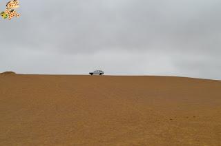 Qué ver en la Reserva Nacional de Paracas?