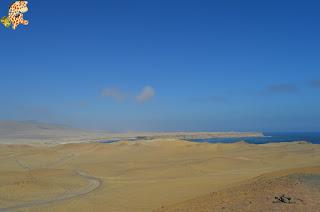 Qué ver en la Reserva Nacional de Paracas?