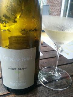 Chenin blanc Terre de Haut: en la cima de la calidad