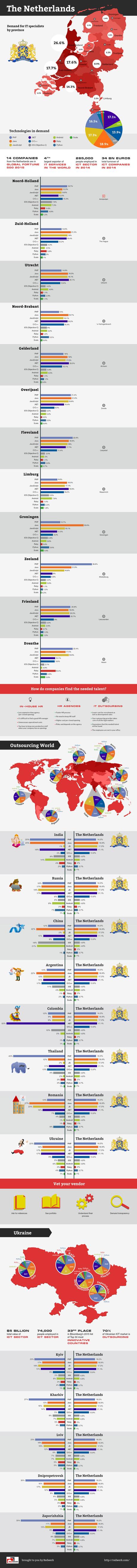 Software Developer Engineer Infographic