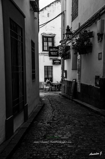 CÓRDOBA: CALLEJEANDO POR LA CIUDAD