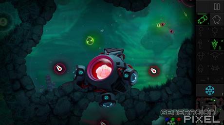 ANÁLISIS: Boid analisis Boid img 002