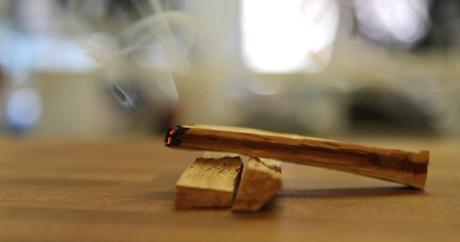 Palo santo: el perfume medicinal de un árbol