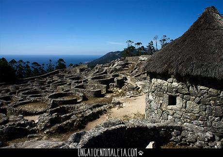 castro tecla