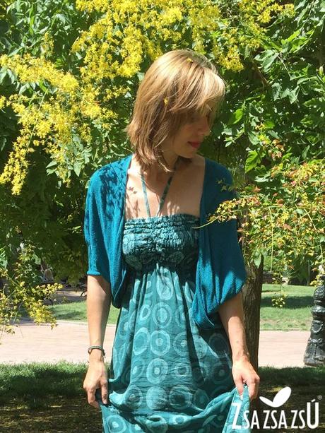 Limpet shell Limpet shell