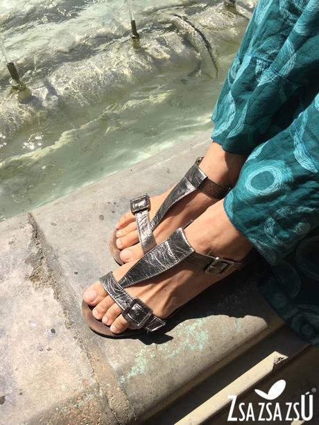 Limpet shell Limpet shell