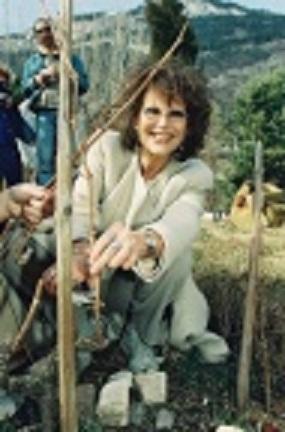 C. C.cuida viña en Suiza para niños necesitados C. C.cuida viña en Suiza para niños necesitados