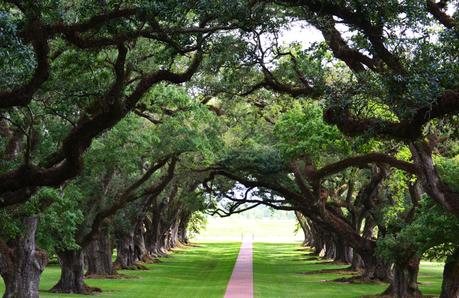 New Orleans