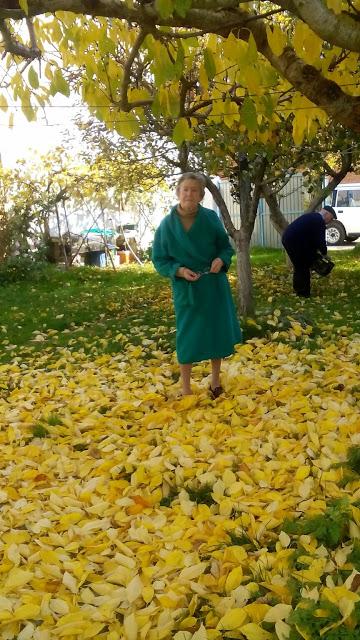 El tiempo amarillo El tiempo amarillo