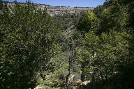 Cascada de Covalagua