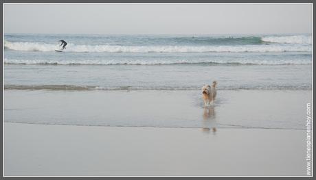 Playa San Vicente de la Barquera (Cantabria)