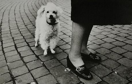 Los pies de mamá img_20160717_203935.jpg