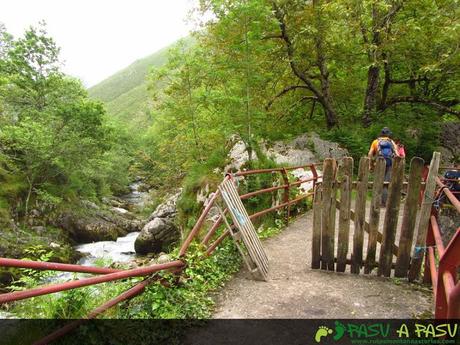 Puente El Escobín sobre el río Casaño