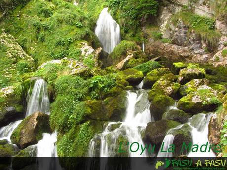 Oyu la Madre, Asturias