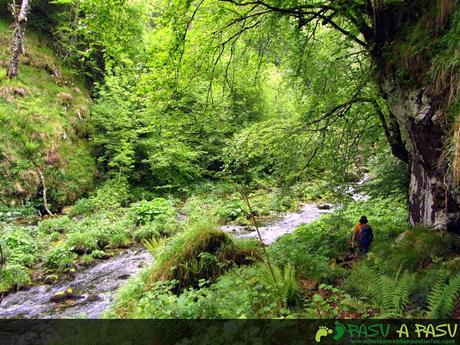 Río Casaño cercano al Oyu la Madre