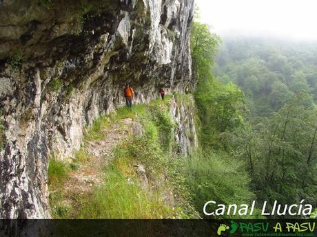 Canal del la Llucía, Cabrales