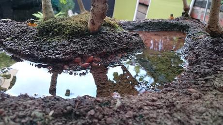 Diorama con Acers Campestres  : 11  El rio funciona