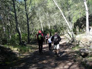 El Mirador de Rosaire de Cirat