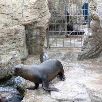 Oceanografic de Valencia