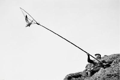 Ragnar AxelssonEste es el espacio en donde no se teme a n... Ragnar AxelssonEste es el espacio en donde no se teme a n...