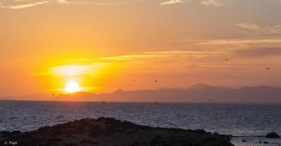 ISLA DE TABARCA