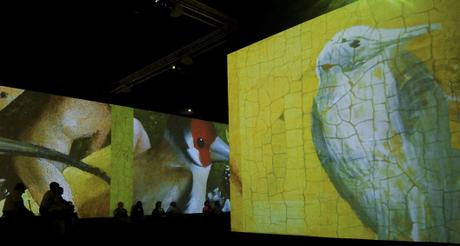 “El Bosco”: la imaginación al poder “El Bosco”: la imaginación al poder