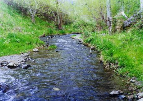 Senderismo por La Sierra de la Demanda, Burgos. Del 8 al 14 de Agosto. Río Oropesa