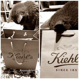 Conociendo Kiehl´s / Inauguración