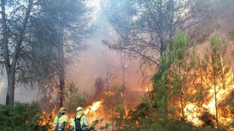 Días extraños Días extraños