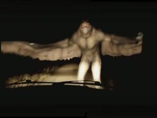 El origen de la imagen del hombre polilla El origen de la imagen del hombre polilla