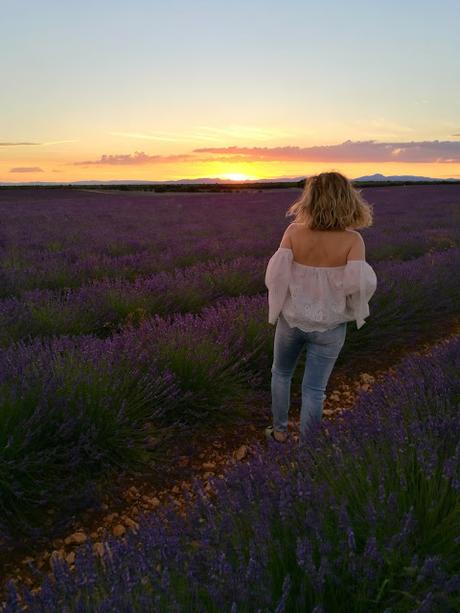 Efecto Amnesia En Hotel Spa Niwa Efecto Amnesia En Hotel Spa Niwa