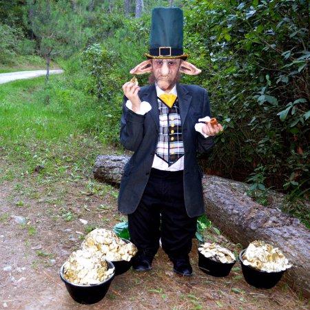 Traigan a Rocket ¡Encontramos a la hermana de Groot! – NYX FACE Awards sus