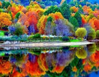 ENTRE RISAS Y LAMENTOS... ENTRE RISAS Y LAMENTOS...