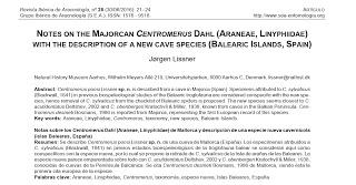 Nueva especie de araña descubierta en Islas Baleares Nueva especie de araña descubierta en Islas Baleares