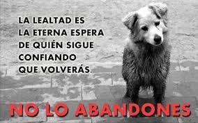 NO LO ABANDONES, EL NUNCA LO HARIA