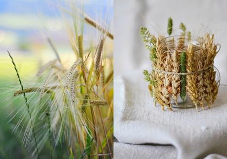 6 tutoriales para decorar con lavanda y espigas 6 tutoriales para decorar con lavanda y espigas