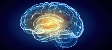 Científicos israelíes desarrollan molécula que protege el cerebro humano. shutterstock_294547796-890x400-830x373