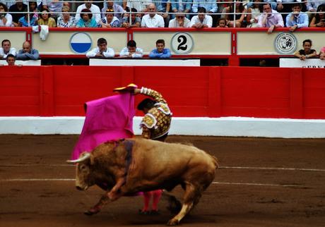 Tarde de toros