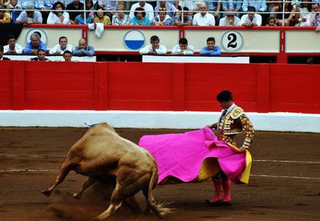 Tarde de toros