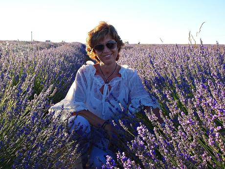 Campos de lavanda de Brihuega (La Alcarria, Guadalajara) Campos de lavanda de Brihuega (La Alcarria, Guadalajara)